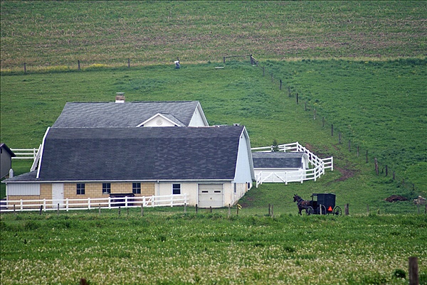 Foto:: Reisen / USA / Sommer 2010 (Foto,Fotos,Bilder,Bild,)