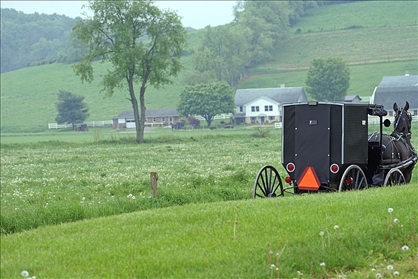 Foto:: Reisen / USA / Sommer 2010 (Foto,Fotos,Bilder,Bild,)