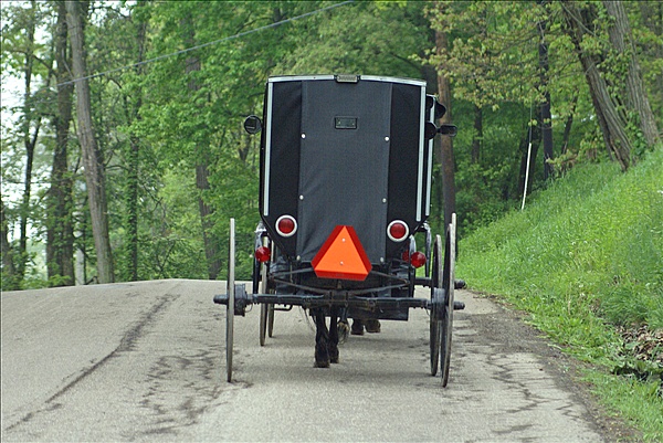 Foto:: Reisen / USA / Sommer 2010 (Foto,Fotos,Bilder,Bild,)