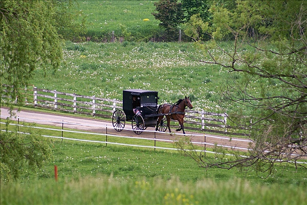 Foto:: Reisen / USA / Sommer 2010 (Foto,Fotos,Bilder,Bild,)
