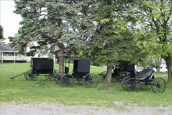 Foto:: Reisen / USA / Sommer 2010 (Foto,Fotos,Bilder,Bild,)
