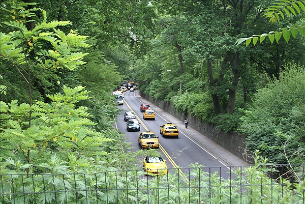 Foto:: Reisen / USA / Sommer 2010 (Foto,Fotos,Bilder,Bild,)
