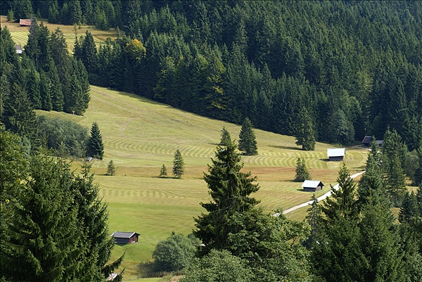 Foto:: Wiesen / Elmau / 15.09.2010 (Foto,Fotos,Bilder,Bild,)