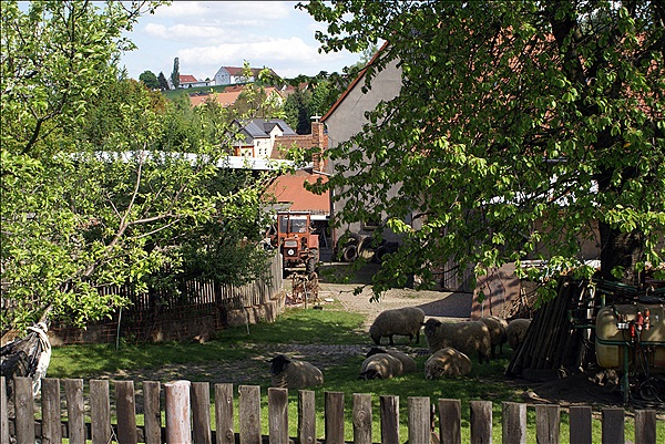 Foto:: Olbersdorf / 01.05.2011 (Foto,Fotos,Bilder,Bild,)