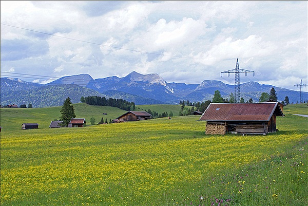 Foto:: Buckelwiesen / Mittenwald / 14.05.2011 (Foto,Fotos,Bilder,Bild,)