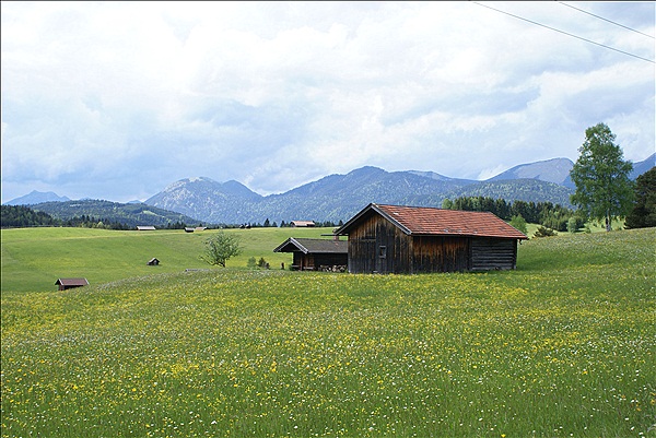 Foto:: Buckelwiesen / Mittenwald / 14.05.2011 (Foto,Fotos,Bilder,Bild,)