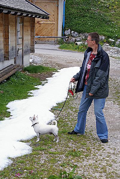 Foto:: Almdorf / Eng / 17.05.2011 (Foto,Fotos,Bilder,Bild,)