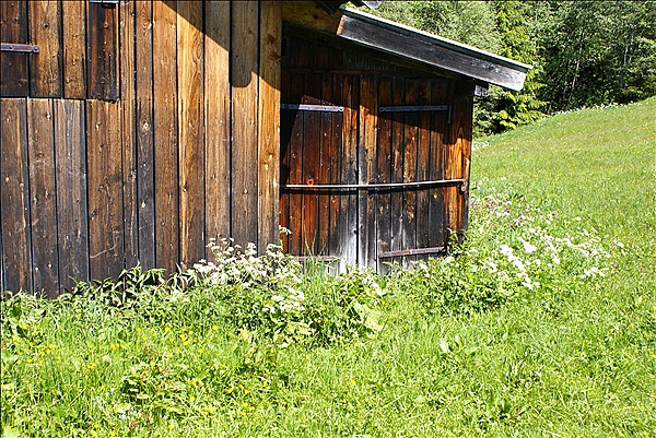 Foto:: Eckbauer / Garmisch-Partenkirchen / 18.05.2011 (Foto,Fotos,Bilder,Bild,)