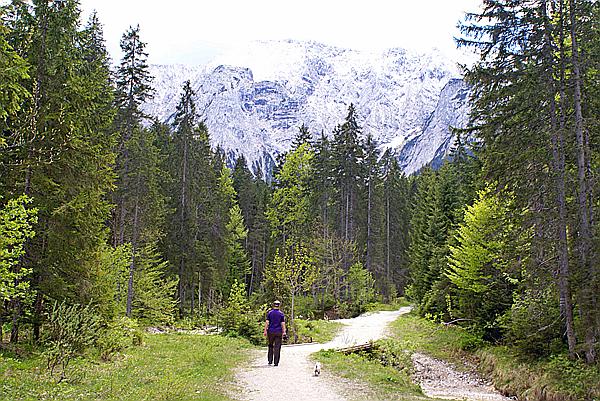 Foto:: Mittenwald / 18.05.2011 (Foto,Fotos,Bilder,Bild,)