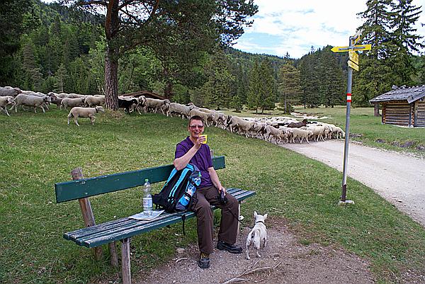 Foto:: Lautersee / Mittenwald / 18.05.2011 (Foto,Fotos,Bilder,Bild,)