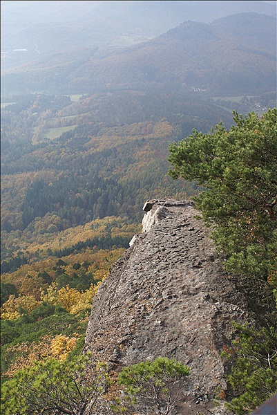 Foto:: Pfaelzer Huettentour / Albersweiler / 29.10.2011 (Foto,Fotos,Bilder,Bild,)