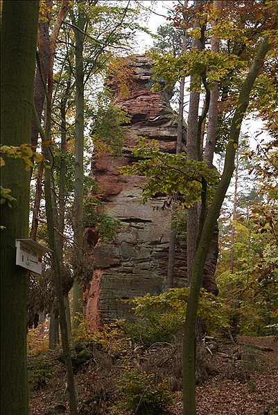 Foto:: Dahner Rundwanderweg / Dahn / 30.11.2011 (Foto,Fotos,Bilder,Bild,)