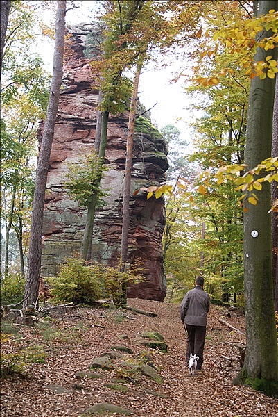 Foto:: Dahner Rundwanderweg / Dahn / 30.11.2011 (Foto,Fotos,Bilder,Bild,)
