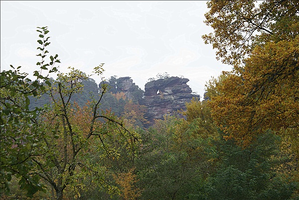 Foto:: Dahner Rundwanderweg / Dahn / 30.11.2011 (Foto,Fotos,Bilder,Bild,)