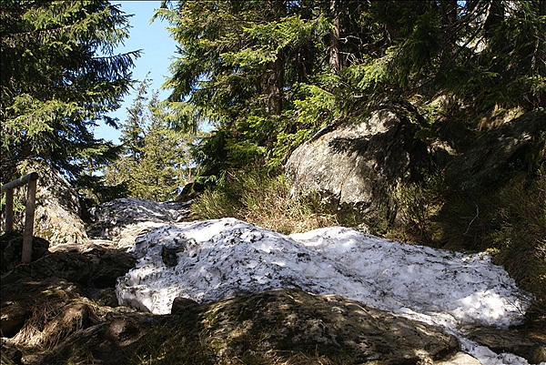 Foto:: Lam / 26.04.2012 (Foto,Fotos,Bilder,Bild,)
