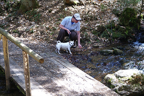 Foto:: Lam / 27.04.2012 (Foto,Fotos,Bilder,Bild,)
