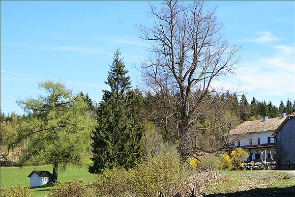 Foto:: Lam / 27.04.2012 (Foto,Fotos,Bilder,Bild,)