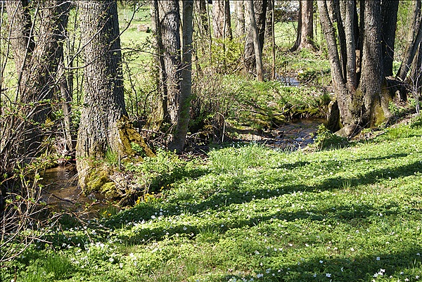 Foto:: Lam / 27.04.2012 (Foto,Fotos,Bilder,Bild,)