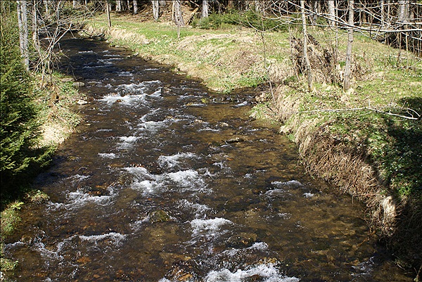 Foto:: Bayerisch Eisenstein / 28.04.2012 (Foto,Fotos,Bilder,Bild,)