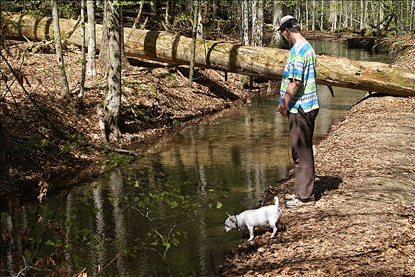 Foto:: Bayerisch Eisenstein / 28.04.2012 (Foto,Fotos,Bilder,Bild,)