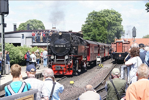 Foto:: DR 99 7239-9 / Wernigerode / 09.06.2012 (Foto,Fotos,Bilder,Bild,)