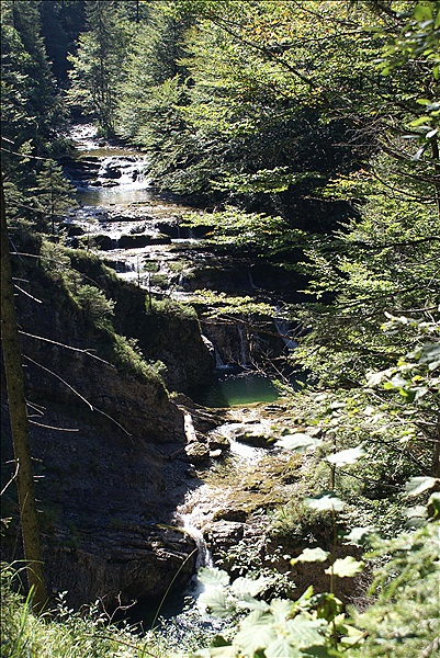 Foto:: Fischbachtal / Unken / 09.09.2012 (Foto,Fotos,Bilder,Bild,)
