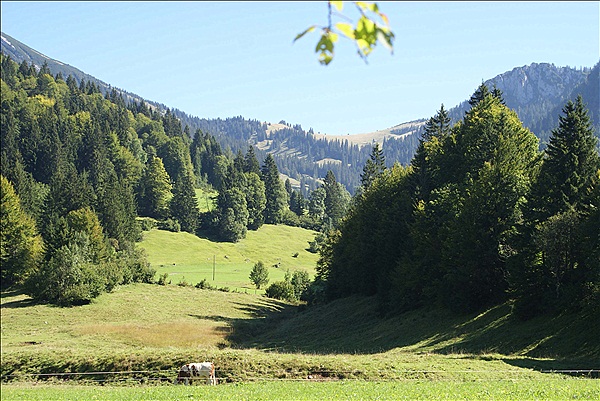 Foto:: Heutal / Un ken / 09.09.2012 (Foto,Fotos,Bilder,Bild,)