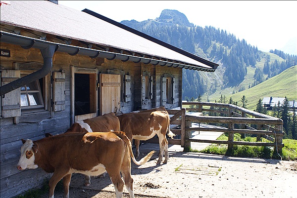 Foto:: Wasserfallweg / Loferer Alm / 10.09.2012 (Foto,Fotos,Bilder,Bild,)