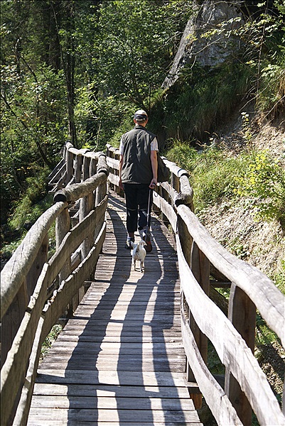 Foto:: Saalachtal / Lofer / 11.09.2012 (Foto,Fotos,Bilder,Bild,)