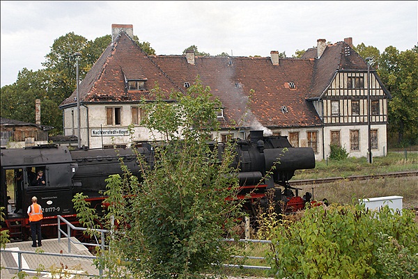 Foto:: DR 52 8177-9  / Nachterstedt-Hoym / 29.09.2012 (Foto,Fotos,Bilder,Bild,)