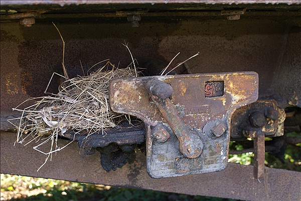 Foto:: Nest / Aschersleben / 29.09.2012 (Foto,Fotos,Bilder,Bild,)