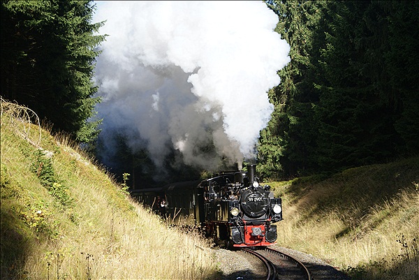 Foto:: DR 99 5901 / Benneckenstein / 30.09.2012 (Foto,Fotos,Bilder,Bild,)