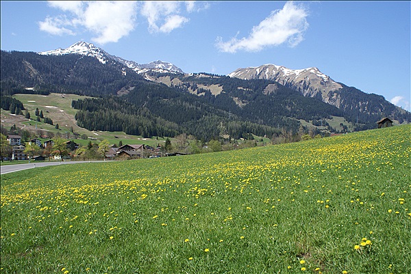 Foto:: Ausblick / Ehrwald / 03.05.2013 (Foto,Fotos,Bilder,Bild,)