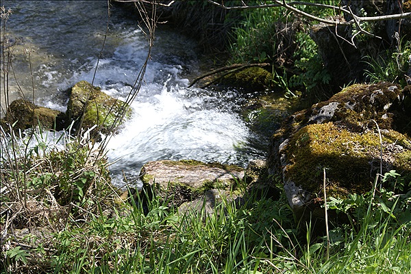 Foto:: Isar-Natur-Erlebnisweg / Kruen / 03.05.2013 (Foto,Fotos,Bilder,Bild,)