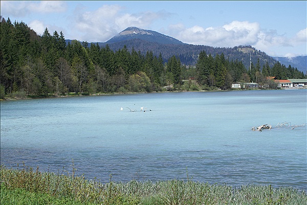 Foto:: Isar-Natur-Erlebnisweg / Kruen / 03.05.2013 (Foto,Fotos,Bilder,Bild,)