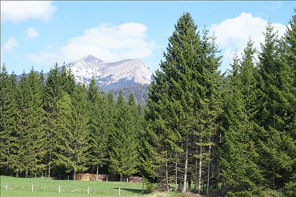 Foto:: Barmsee und Grubsee / Kruen / 06.05.2013 (Foto,Fotos,Bilder,Bild,)