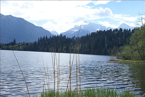 Foto:: Barmsee und Grubsee / Kruen / 06.05.2013 (Foto,Fotos,Bilder,Bild,)