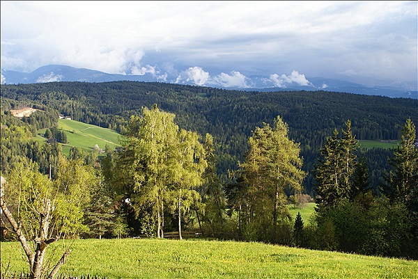 Foto:: Berggasthof Ploerr / Oberinn / 07.05.2013 (Foto,Fotos,Bilder,Bild,)