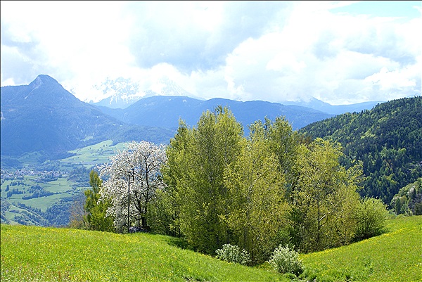 Foto:: Wanderung / Maria Saal / 08.05.2013 (Foto,Fotos,Bilder,Bild,)