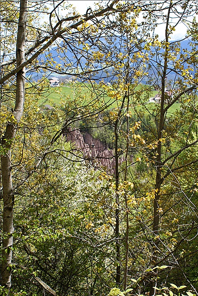 Foto:: Wanderung / Klobenstein / 08.05.2013 (Foto,Fotos,Bilder,Bild,)
