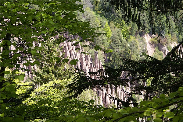 Foto:: Wanderung / Klobenstein / 08.05.2013 (Foto,Fotos,Bilder,Bild,)