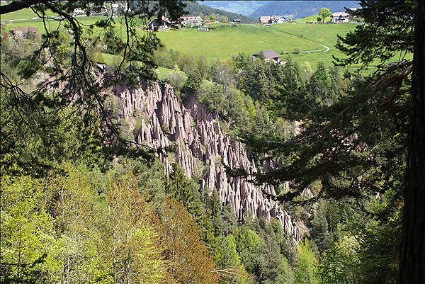 Foto:: Wanderung / Klobenstein / 08.05.2013 (Foto,Fotos,Bilder,Bild,)