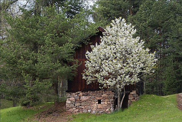 Foto:: Wanderung / Klobenstein / 08.05.2013 (Foto,Fotos,Bilder,Bild,)