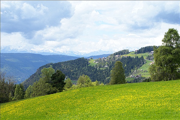 Foto:: Wanderung / Oberinn / 08.05.2013 (Foto,Fotos,Bilder,Bild,)