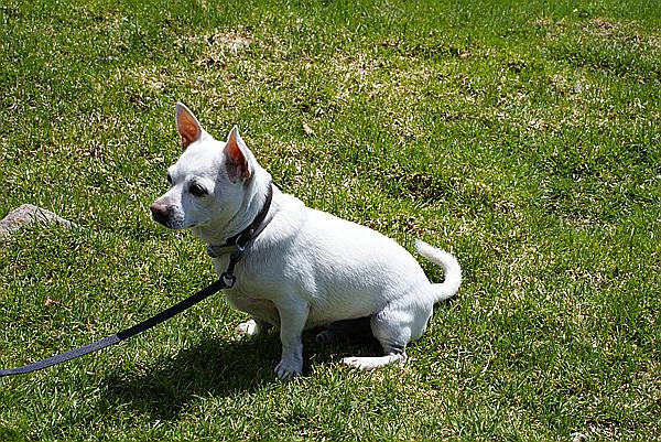 Foto:: Wanderung / Schwarzseespitze / 09.05.2013 (Foto,Fotos,Bilder,Bild,)