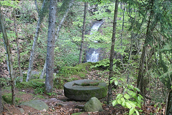 Foto:: Wanderung / Oberinn / 12.05.2013 (Foto,Fotos,Bilder,Bild,)
