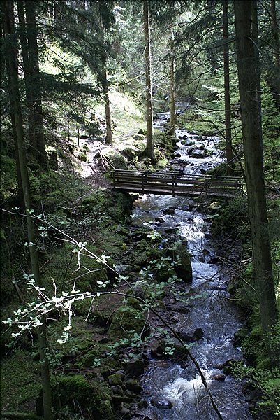 Foto:: Wanderung / Oberinn / 12.05.2013 (Foto,Fotos,Bilder,Bild,)