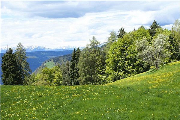 Foto:: Wanderung / Oberinn / 12.05.2013 (Foto,Fotos,Bilder,Bild,)