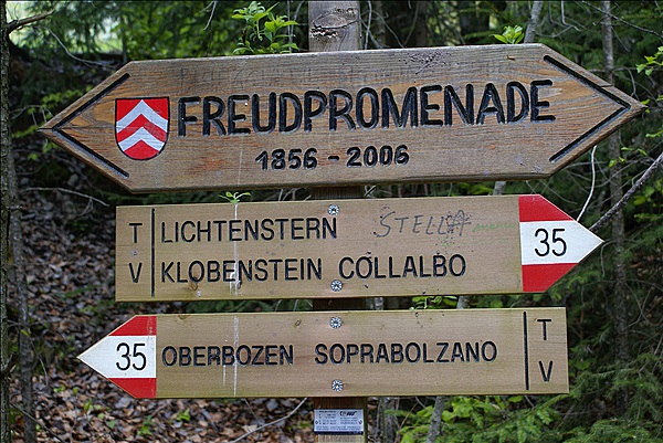 Foto:: Wanderung / Oberbozen / 13.05.2013 (Foto,Fotos,Bilder,Bild,)