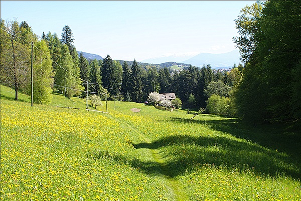 Foto:: Wanderung / Klobenstein - Wolfsgruben / 14.05.2013 (Foto,Fotos,Bilder,Bild,)